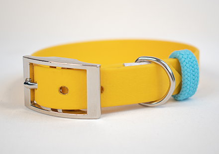 GODDOG vízálló heveder nyakörv egyedi választható színek