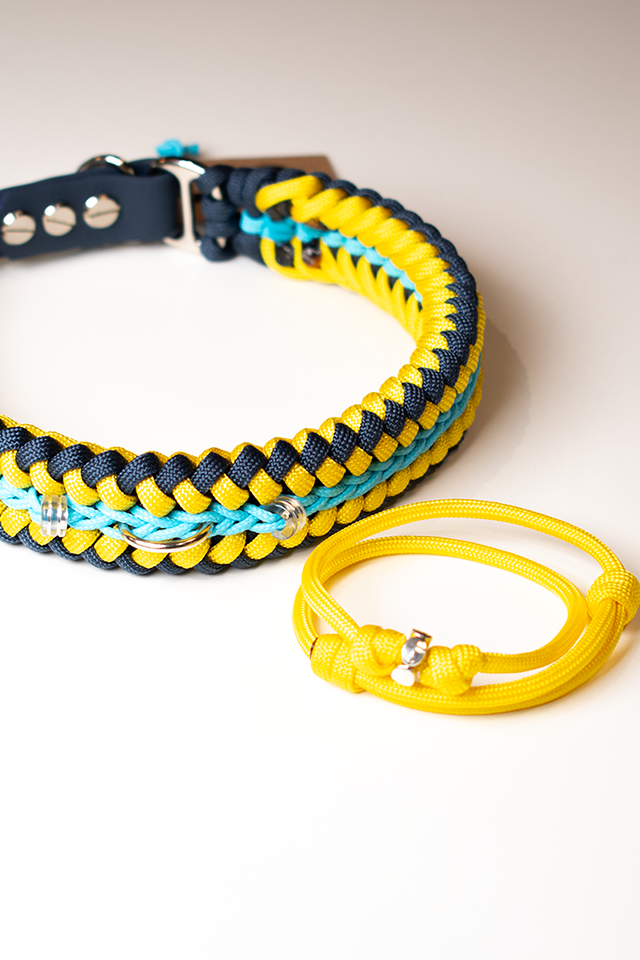 GODDOG gazdi és kutya azonos színekben