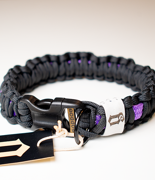 GODDOG felszerelések gazdiknak